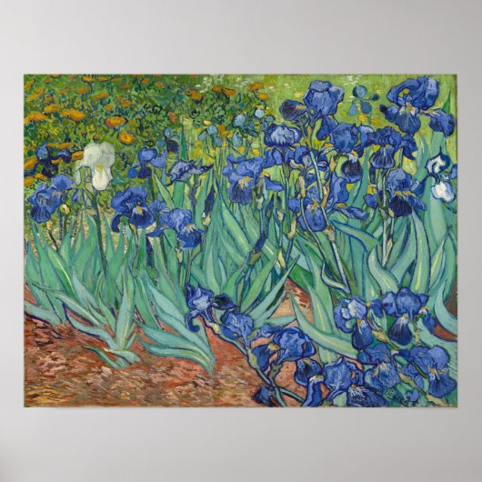 Van Gogh - Irissen Poster (Voorkant)
