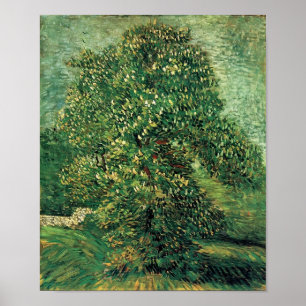 Van Gogh - Kastanjeboom in Blossom Poster