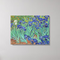 Van Gogh Klassiek Schilderij Irissen Floral Botani