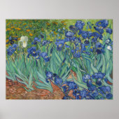 Van Gogh Klassiek Schilderij Irissen Floral Botani Poster (Voorkant)