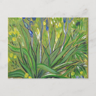 Van Gogh kunst Irissen, acryl reproductie Briefkaart