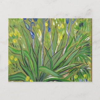 Van Gogh kunst Irissen, acryl reproductie Briefkaart