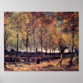 Van Gogh - Lane met poplars Poster (Voorkant)