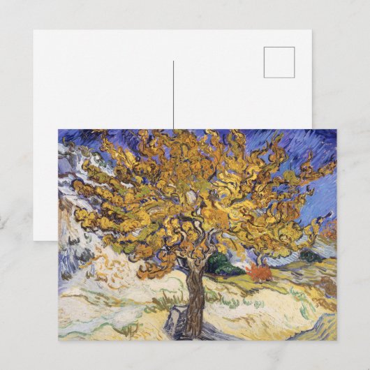 Van Gogh Moerbeiboom Gele Draaikolk Kunst Briefkaart (Voorkant / Achterkant)