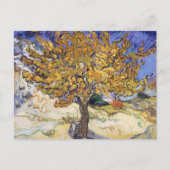 Van Gogh Moerbeiboom Gele Draaikolk Kunst Briefkaart (Voorkant)