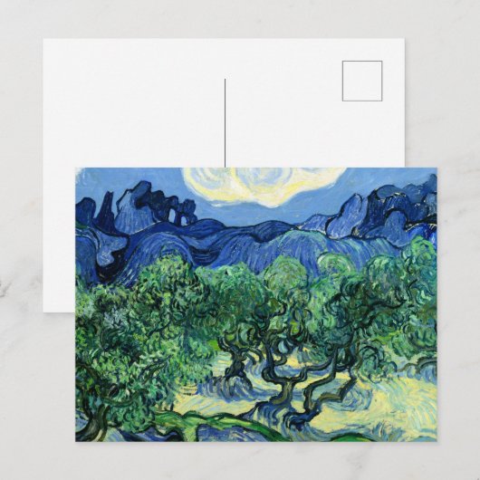 Van Gogh - Olijfbomen met Alpilles in achtergrond Briefkaart (Voorkant / Achterkant)