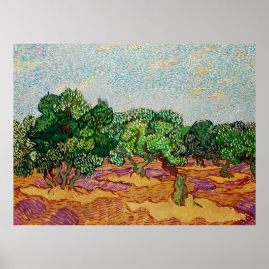 Van Gogh - Olijfbomen,  Poster (Voorkant)