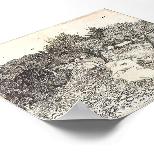 Van Gogh - Olijfbomen Poster (Hoek)