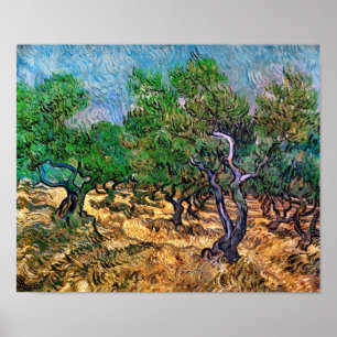 Van Gogh - Olijfboomgaard Poster