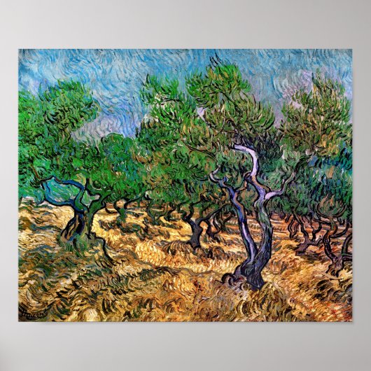 Van Gogh - Olijfboomgaard Poster (Voorkant)