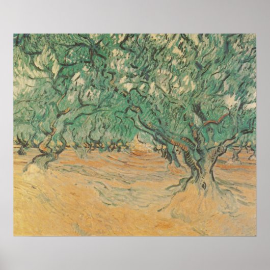Van Gogh olijfboomgaard - saliegroene natuur kunst Poster (Voorkant)