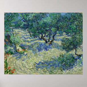 Van Gogh - Olijfgaard Poster