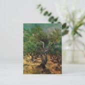 Van Gogh Olive Grove, landschapskunst Briefkaart (Staand voorkant)