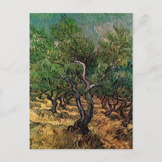 Van Gogh Olive Grove, landschapskunst Briefkaart (Voorkant)