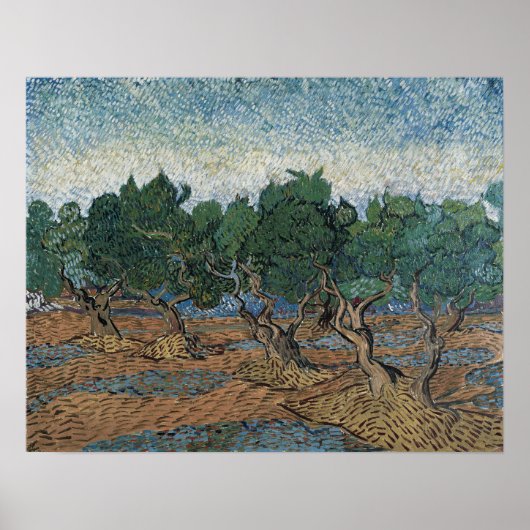 Van Gogh - Olive Grove Poster (Voorkant)