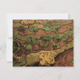 Van Gogh Olive Trees tegen een helling van een heu
