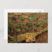 Van Gogh Olive Trees tegen een helling van een heu Briefkaart (Voorkant / Achterkant)