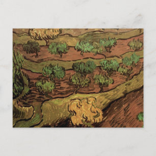 Van Gogh Olive Trees tegen een helling van een heu Briefkaart
