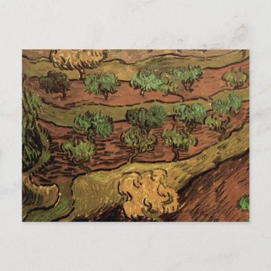 Van Gogh Olive Trees tegen een helling van een heu Briefkaart (Voorkant)