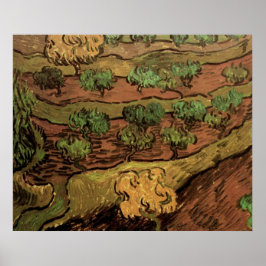Van Gogh Olive Trees tegen een helling van een heu Poster