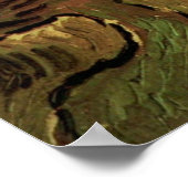 Van Gogh Olive Trees tegen een helling van een heu Poster (Hoek)