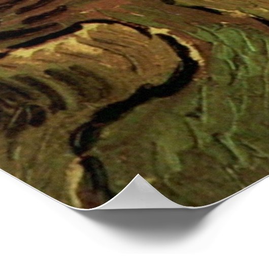 Van Gogh Olive Trees tegen een helling van een heu Poster (Hoek)