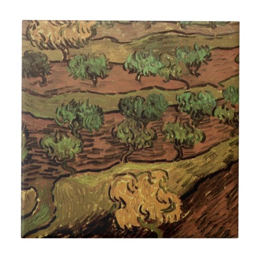 Van Gogh Olive Trees tegen een helling van een heu Tegeltje (Voorkant)
