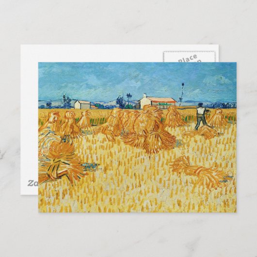 Van Gogh; Oogst in Provence Briefkaart (Voorkant / Achterkant)