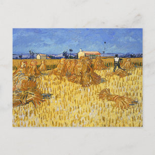 Van Gogh - Oogst in Provence Briefkaart