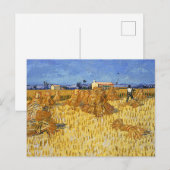 Van Gogh - Oogst in Provence Briefkaart (Voorkant / Achterkant)
