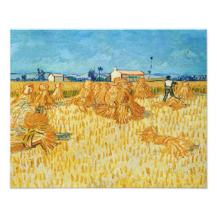 Van Gogh; Oogst in Provence Foto Afdruk