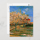 Van Gogh - Orchard in Blossom Briefkaart (Voorkant / Achterkant)