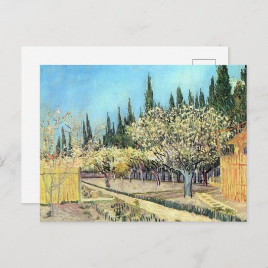 Van Gogh Orchard in Blossom, grens door Cypresses Briefkaart (Voorkant / Achterkant)
