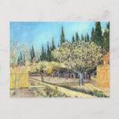 Van Gogh Orchard in Blossom, grens door Cypresses Briefkaart (Voorkant)