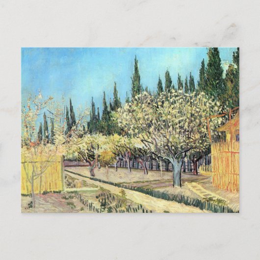 Van Gogh Orchard in Blossom, grens door Cypresses Briefkaart (Voorkant)