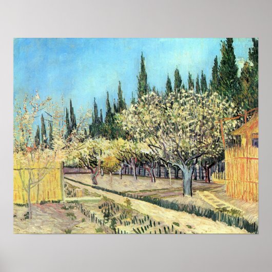 Van Gogh Orchard in Blossom, grens door Cypresses Poster (Voorkant)