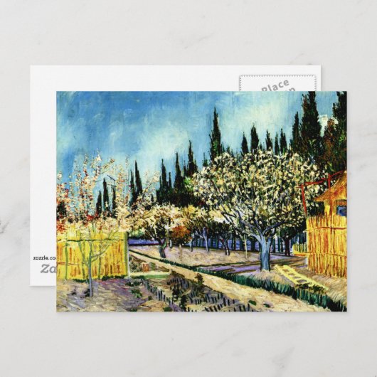Van Gogh - Orchard Omringd door Cypresses Briefkaart (Voorkant / Achterkant)