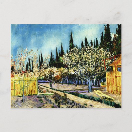 Van Gogh - Orchard Omringd door Cypresses Briefkaart (Voorkant)