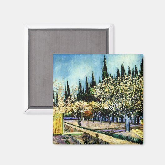 Van Gogh - Orchard Omringd door Cypresses Magneet (Voorkant / Achterkant)