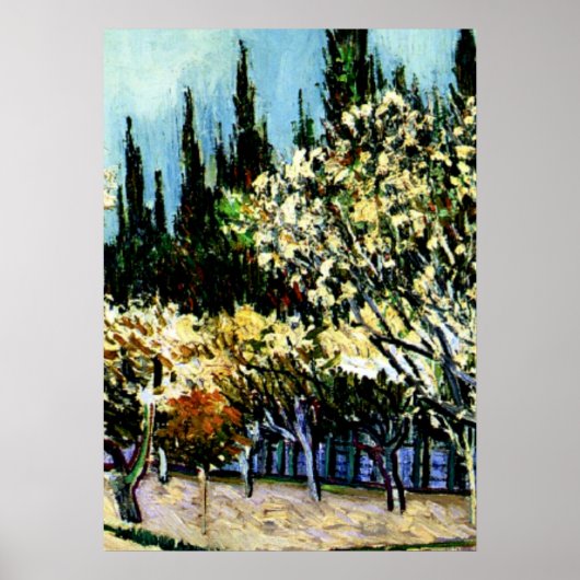Van Gogh - Orchard Omringd door Cypresses Poster (Voorkant)