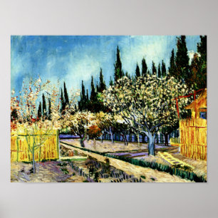 Van Gogh - Orchard Omringd door Cypresses Poster