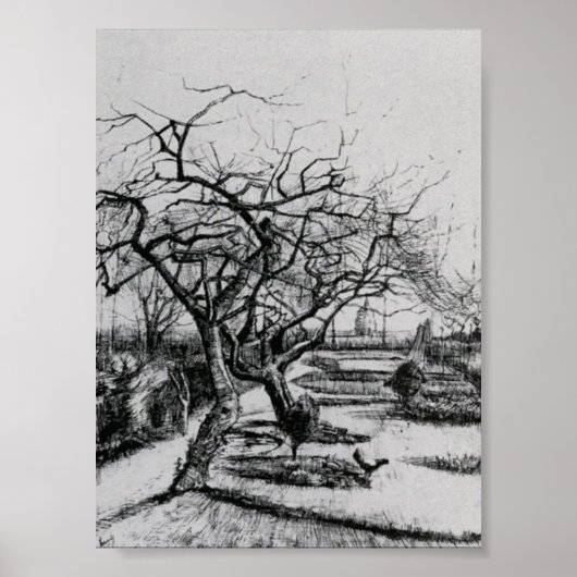 Van Gogh - Parsonage Garden Poster (Voorkant)