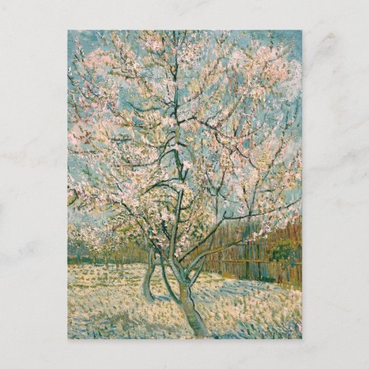 Van Gogh Pink Perzikboom in Bloesem (F404) Briefkaart (Voorkant)