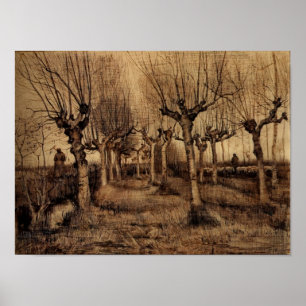 Van Gogh - Pollard Birches Poster