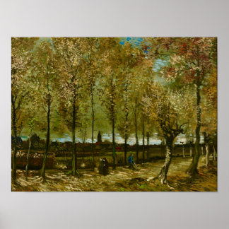 Van Gogh Poplars Near Nuenen Landscape  Poster