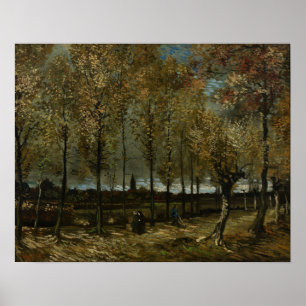Van Gogh - Poplars Near Nuenen Poster