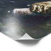 Van Gogh Portret van een vrouw Foto Afdruk (Hoek)