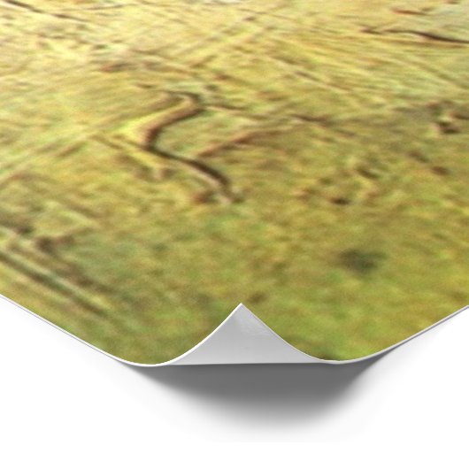 VAN GOGH POSTERS - VERMOGEN VAN GYPSIES W CARAVAN (Hoek)