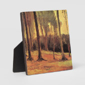 Van Gogh - Rand van een Bos, Fotoplaat (Voorkant)