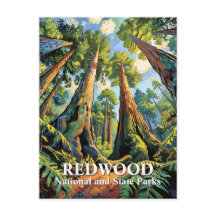 Van Gogh Redwoods Park Californië Poster Stijl